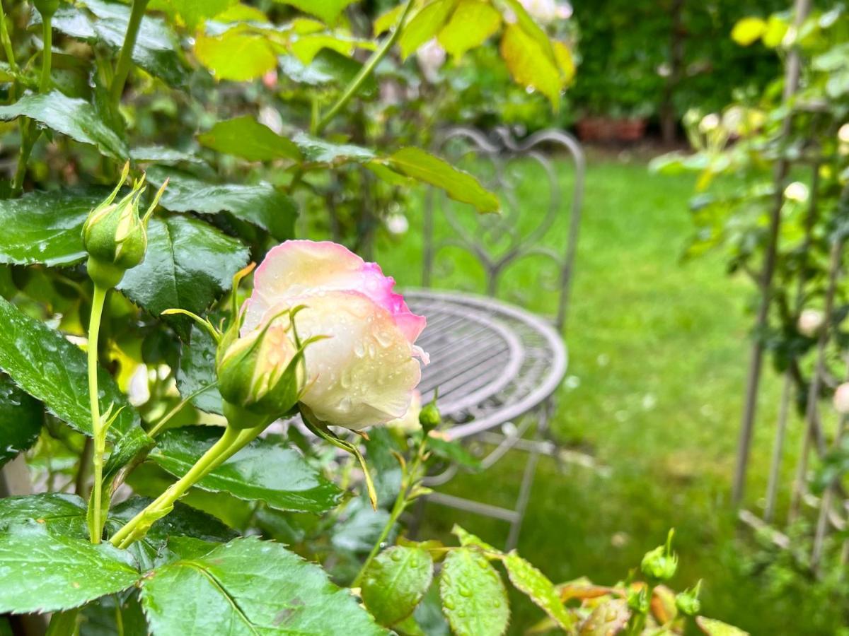 La Finestra Sul Giardino - B&B Cavedine Kültér fotó